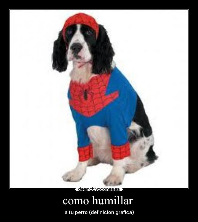 como humillar -