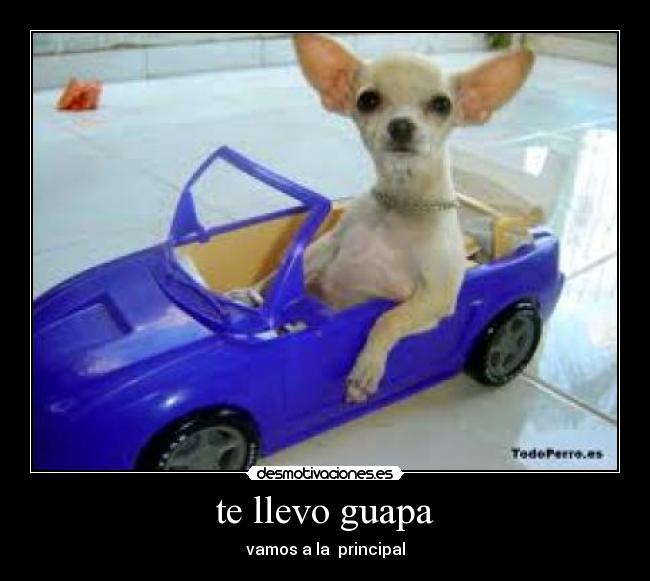 te llevo guapa - vamos a la principal