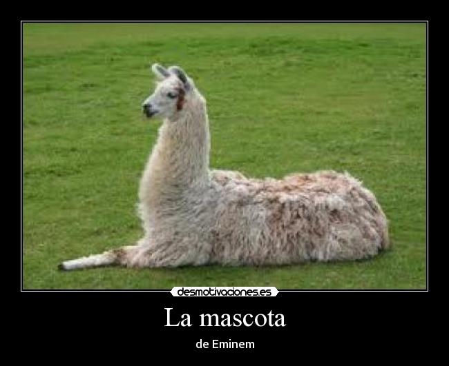La mascota -