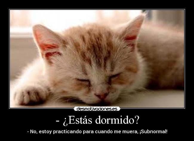 - ¿Estás dormido? -