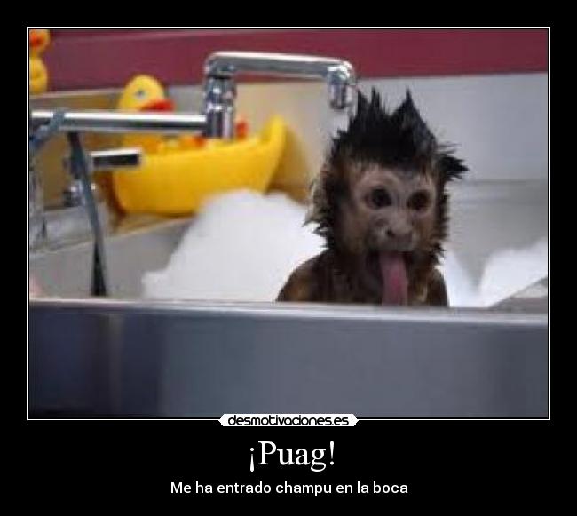 ¡Puag! - 