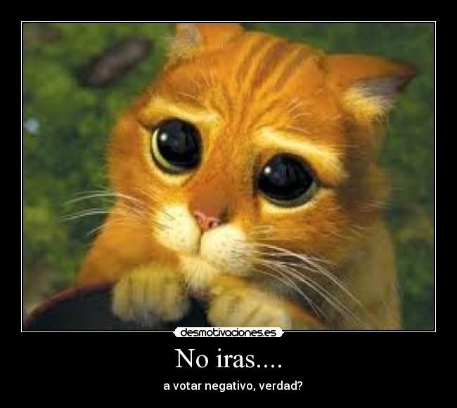 No iras.... - 