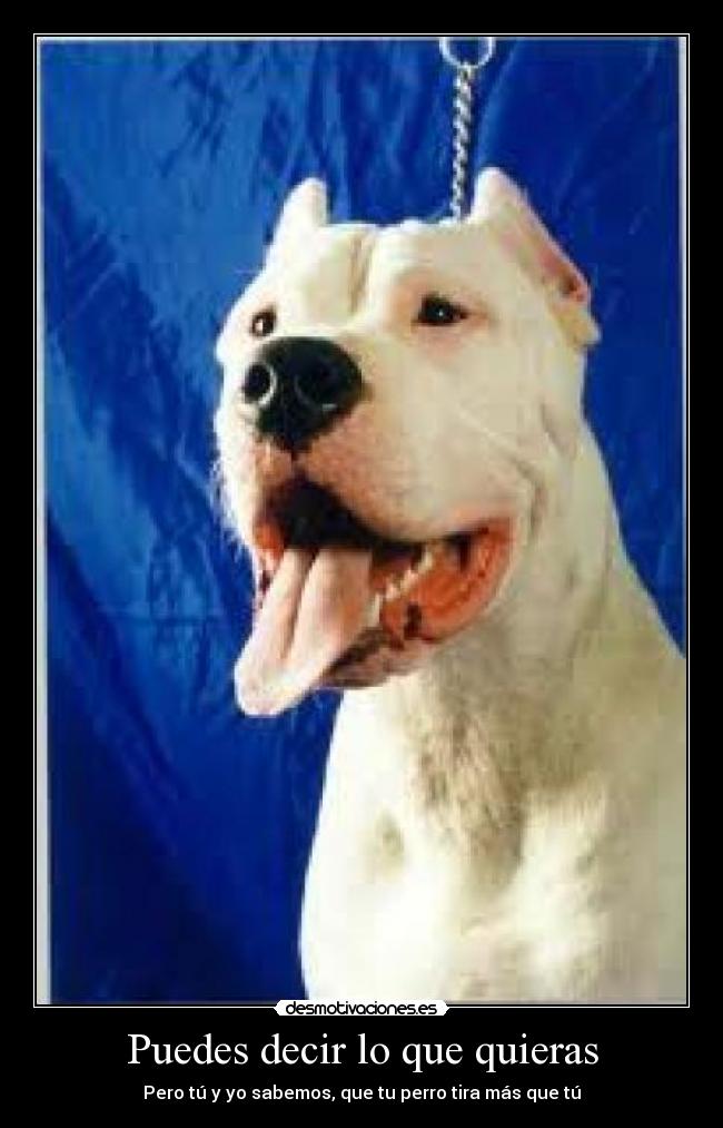 Puedes decir lo que quieras - 