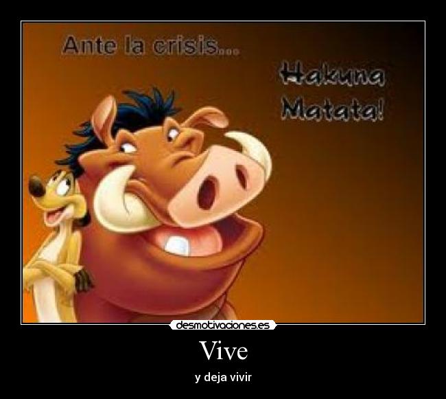 Vive -