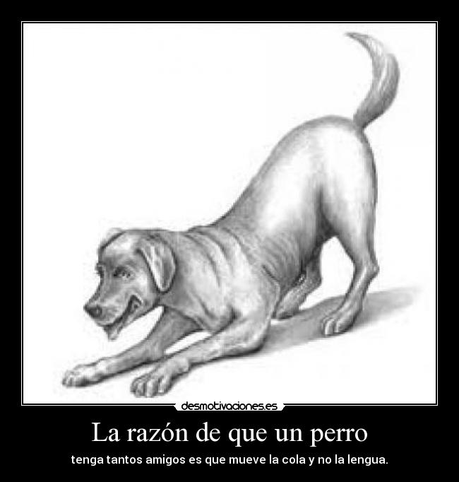  La razón de que un perro  - 