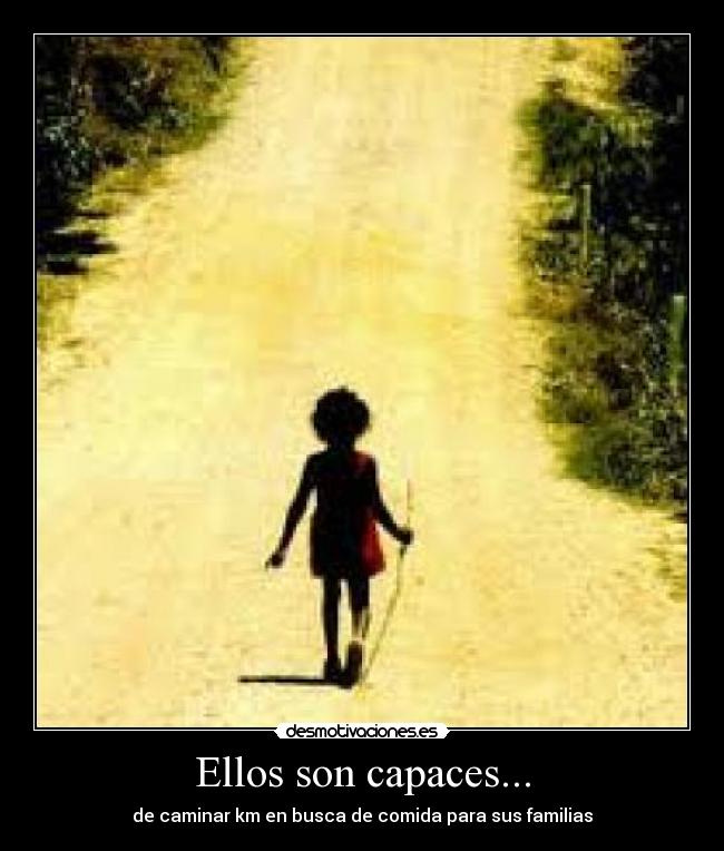 Ellos son capaces... - de caminar km en busca de comida para sus familias