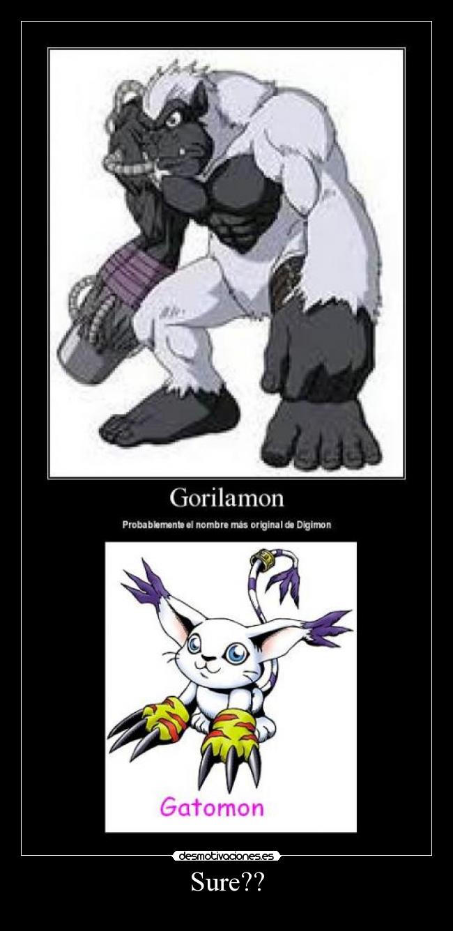 carteles gatomon desmotivaciones