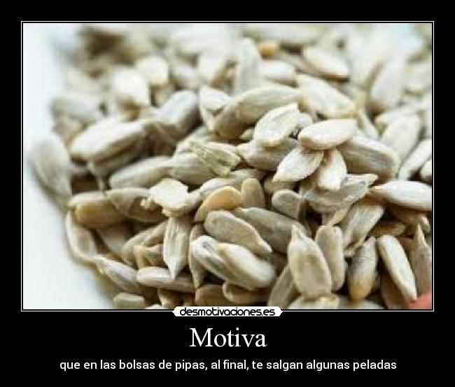Motiva - 