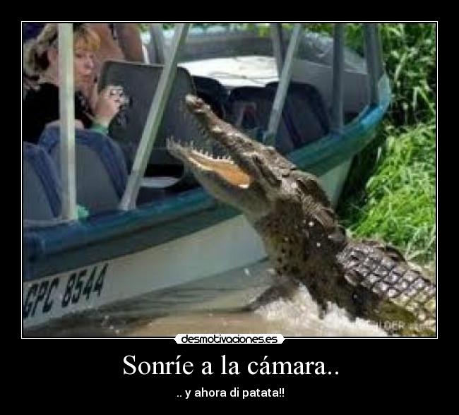 Sonríe a la cámara.. - 