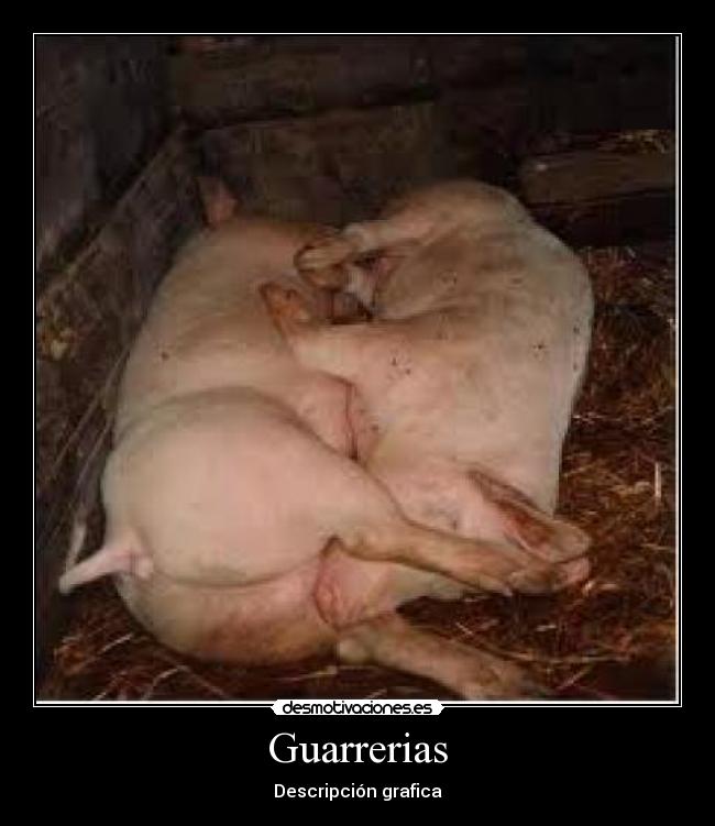 Guarrerias - 