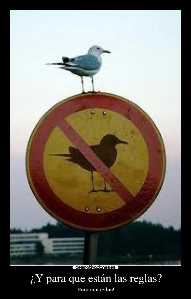 ¿Y para que están las reglas? - 