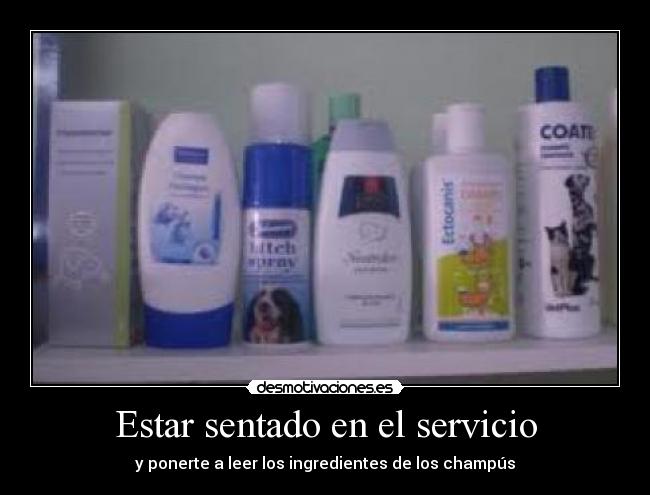 carteles verdad verdadera desmotivaciones