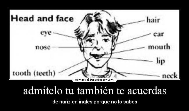 admítelo tu también te acuerdas - 