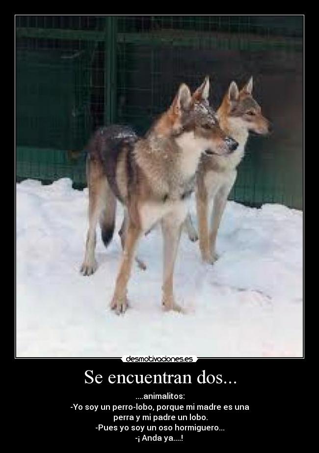 Se encuentran dos... -