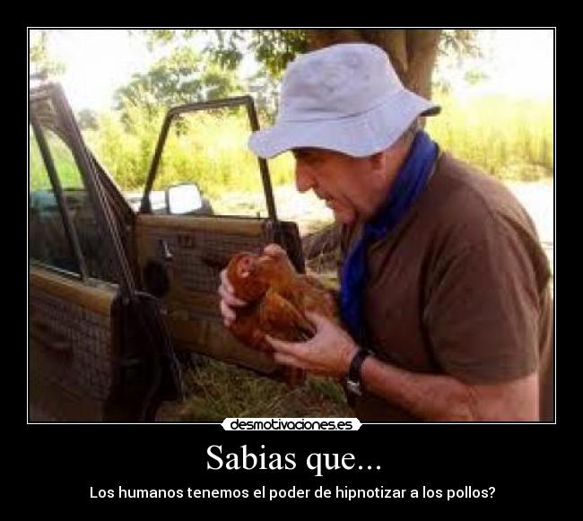 Sabias que... -