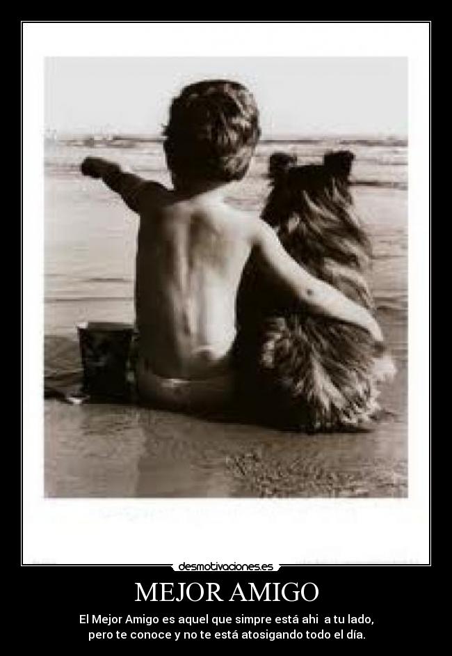 MEJOR AMIGO - El Mejor Amigo es aquel que simpre está ahi a tu lado,
pero te conoce y no te está atosigando todo el día.