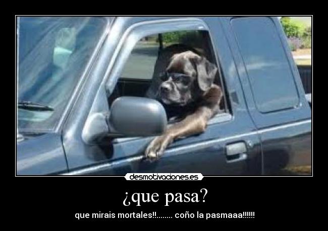 ¿que pasa? - que mirais mortales!!........ coño la pasmaaa!!!!!!