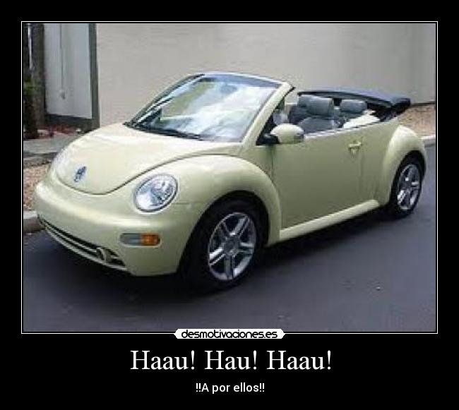 Haau! Hau! Haau! - 