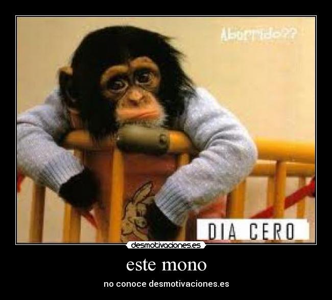 este mono - no conoce desmotivaciones.es