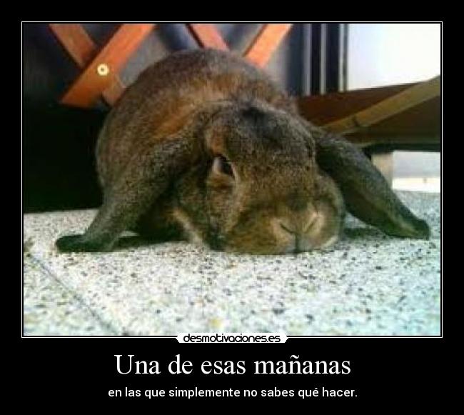 Una de esas mañanas - 