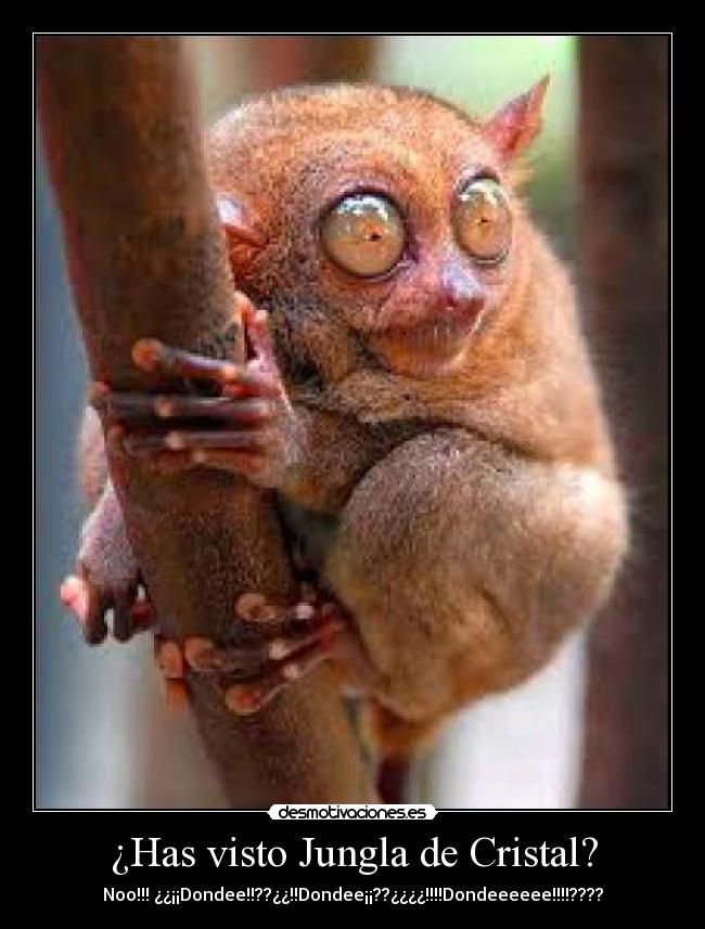 ¿Has visto Jungla de Cristal? - Noo!!! ¿¿¡¡Dondee!!??¿¿!!Dondee¡¡??¿¿¿¿!!!!Dondeeeeee!!!!????