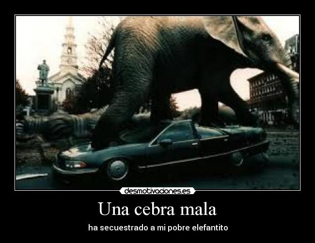 Una cebra mala - 