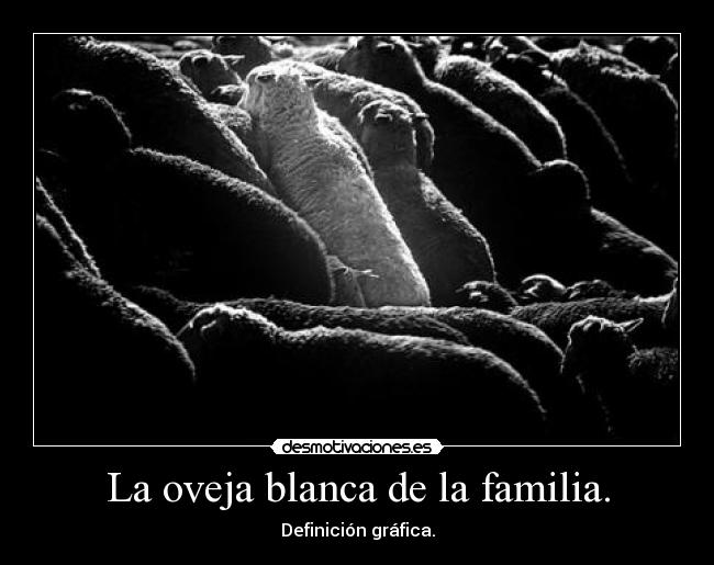 La oveja blanca de la familia. - 