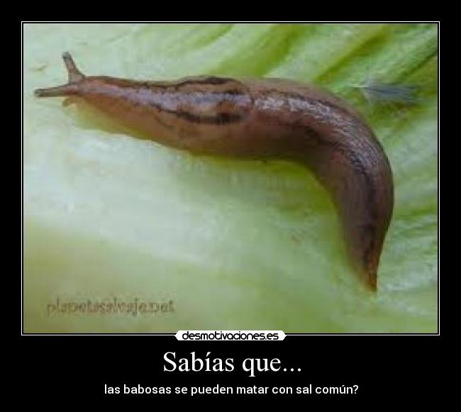 carteles anukyta_22 desmotivaciones