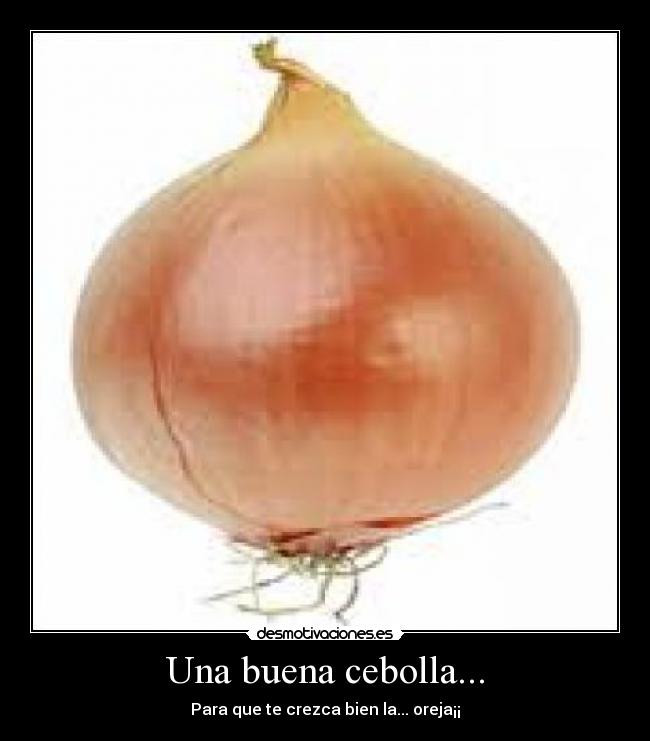 Una buena cebolla... - Para que te crezca bien la... oreja¡¡