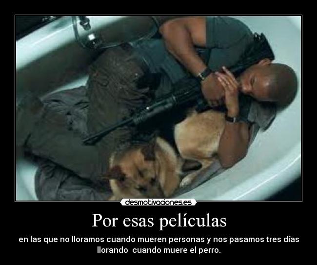 Por esas películas - en las que no lloramos cuando mueren personas y nos pasamos tres días
llorando cuando muere el perro.