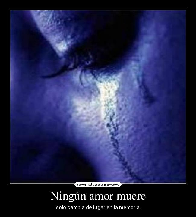 Ningún amor muere - 