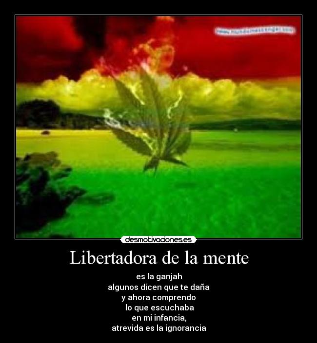 Libertadora de la mente - es la ganjah
algunos dicen que te daña
y ahora comprendo
 lo que escuchaba
en mi infancia,
atrevida es la ignorancia