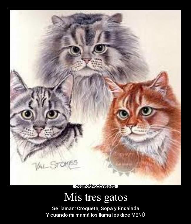 Mis tres gatos -