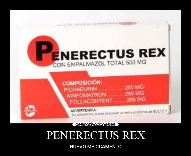 PENERECTUS REX - 