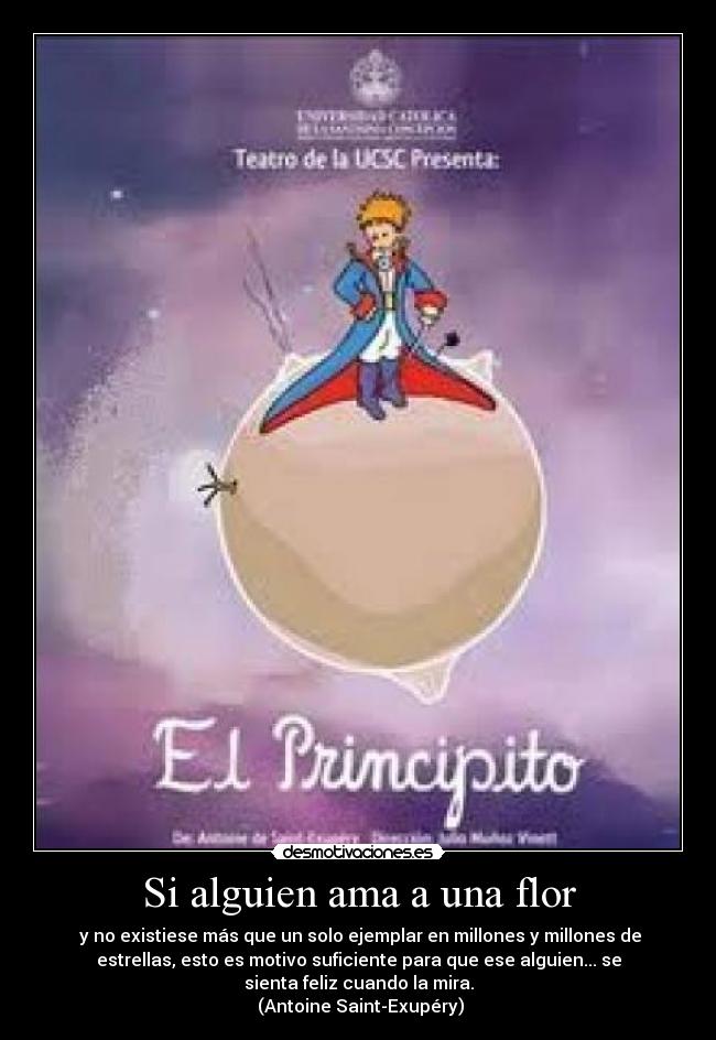 Si alguien ama a una flor -