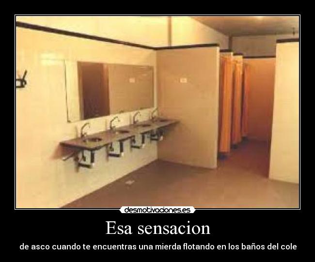 Esa sensacion - de asco cuando te encuentras una mierda flotando en los baños del cole