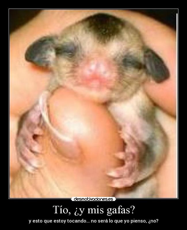 carteles  desmotivaciones