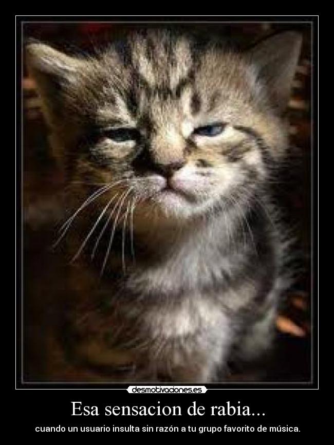 Esa sensacion de rabia... - cuando un usuario insulta sin razón a tu grupo favorito de música.
