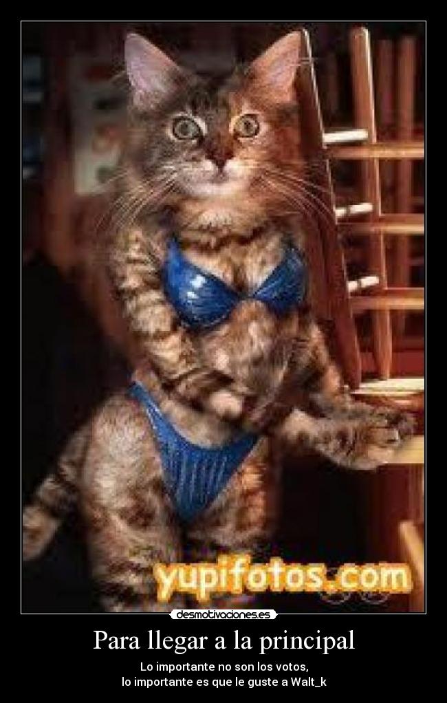 Para llegar a la principal -