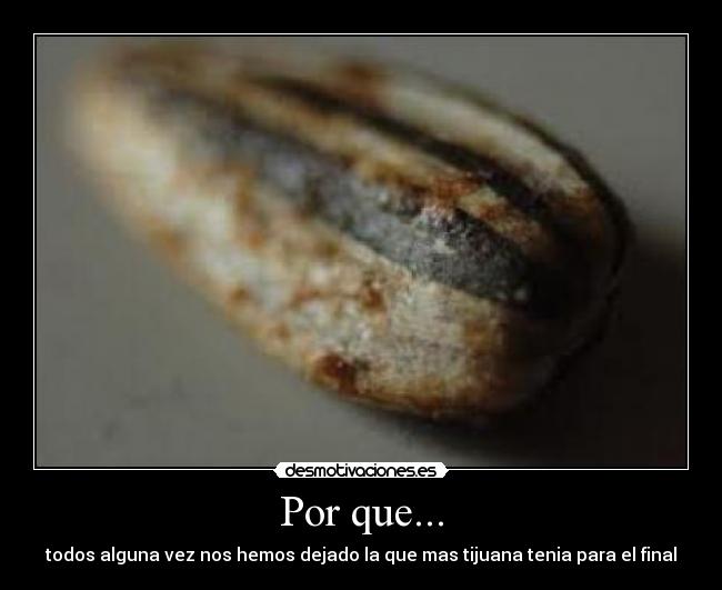 Por que... - 