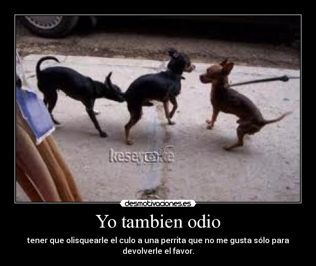 Yo tambien odio - tener que olisquearle el culo a una perrita que no me gusta sólo para
devolverle el favor.