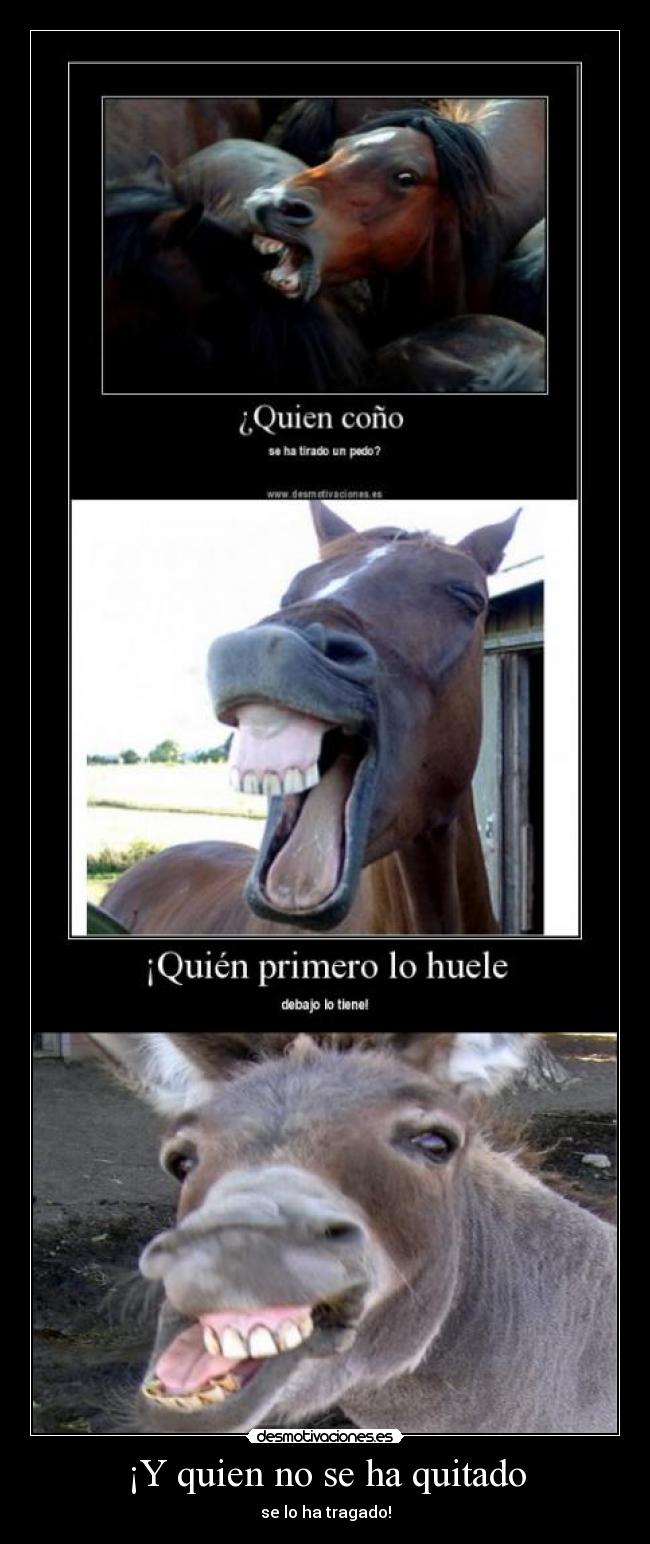 ¡Y quien no se ha quitado -