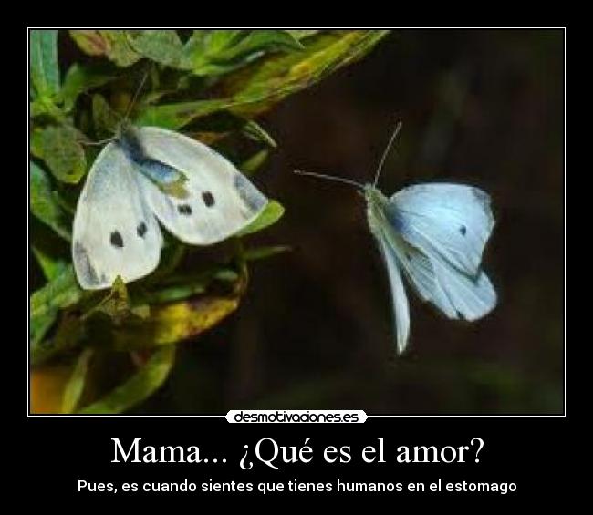 Mama... ¿Qué es el amor? - 