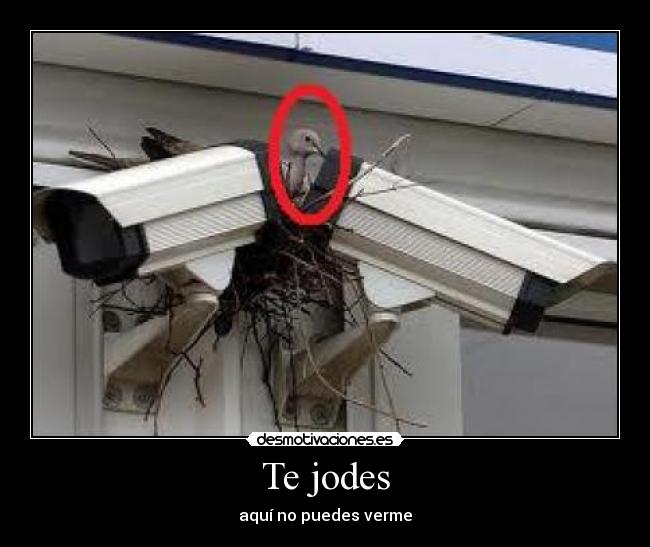 Te jodes - aquí no puedes verme