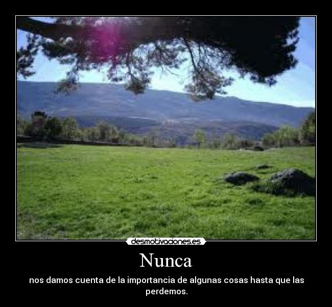 Nunca - 