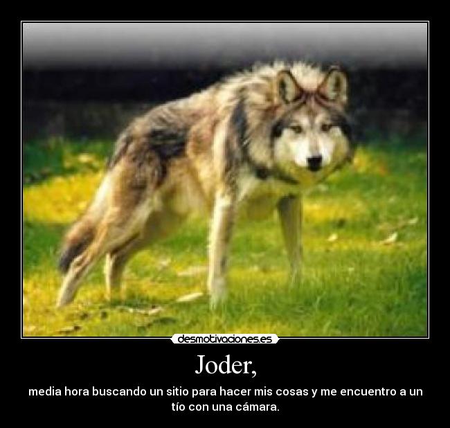 Joder, - media hora buscando un sitio para hacer mis cosas y me encuentro a un
tío con una cámara.
