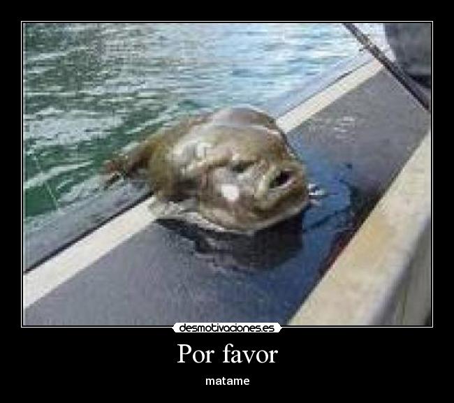 Por favor - 