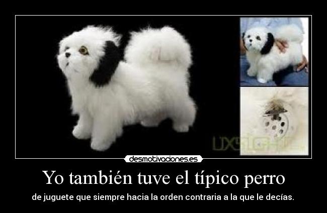 Yo también tuve el típico perro -