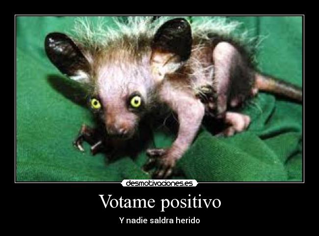 carteles votame positivo animal extrano desmotivaciones