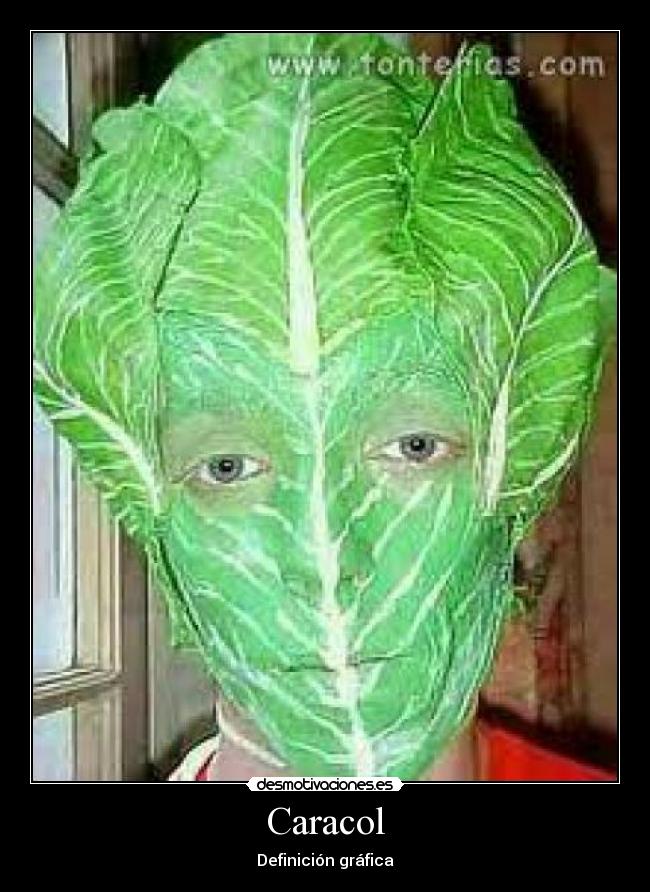 Caracol - Definición gráfica